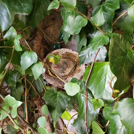 Apartmaniinprimosten