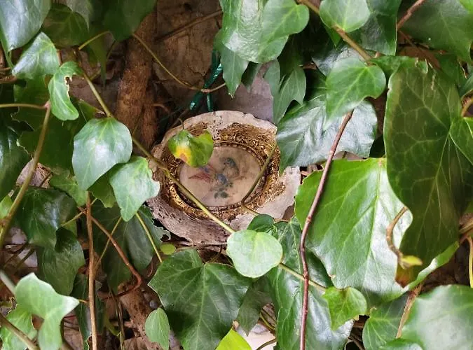 Apartmaniinprimosten